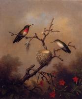 Heade, Martin Johnson - Ruby-Throated Hummingbird